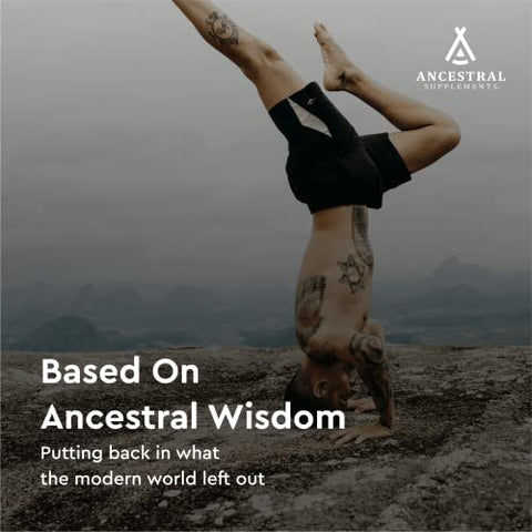 Ancestral Supplements - Suplemento Ancestral de Fígado e Sangue de Gado Criado a Pasto