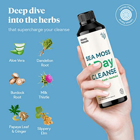 Atlantic Naturals - Desintoxicação Completa do Corpo com Sea Moss 1 Day Cleanse | Apoio Intestinal, Renal, Hepático, Imunológico e Energético | 240 ml