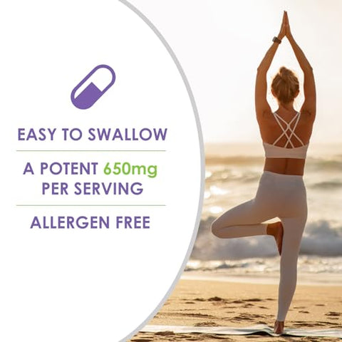 VITEX | Suplemento de Vitex Chasteberry para Mulheres | Equilíbrio Hormonal* e Suporte à Fertilidade* | 650mg por Porção de Extrato de Bagas de Vitex em Pó | 60 Cápsulas - VH Nutrition