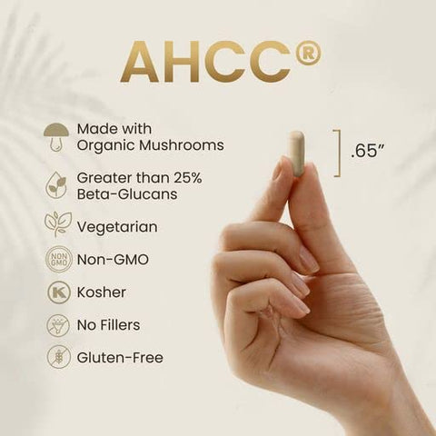 HPD Rx - Premium AHCC: Potente Imunoestimulante Natural – 60 cápsulas de 500mg