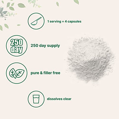Micro Ingredients - Pó de L-Serina Pura, 500g (250 dias de suprimento), Livre de Preenchedores, Suporta a Produção de L-Cistina
