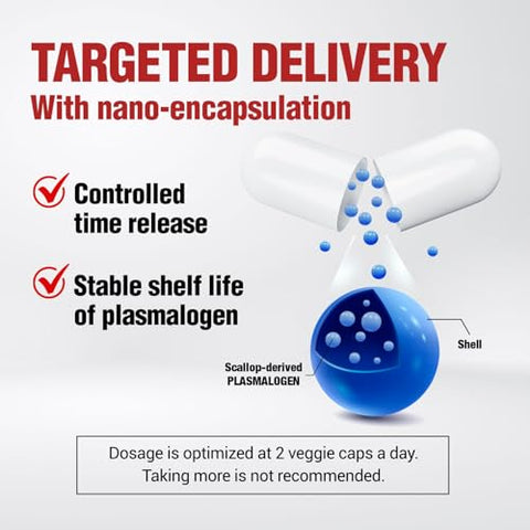 NeuroREGAIN – PLASMALOGEN derivado de vieiras para deterioração cerebral, memória, alerta, aprendizado, concentração e outras funções cognitivas – Adequado para - LABO Nutrition