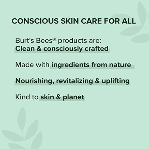Burt's Bees - Burt’s Bees Baby Pomada Cicatrizante Facial 100% Natural – 30g