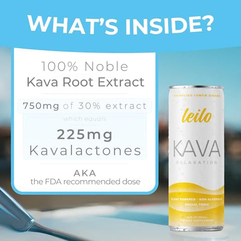 LEILO - Leilo Calm in a Can | Bebida Relaxante com Kava | 100% Natural