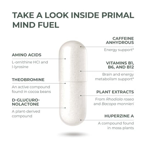 Primal Harvest - 2 Pack, Primal Mind Fuel Brain Booster – Foco, Energia, Clareza, Memória – Saúde Cerebral – 30 Cápsulas – Nootrópicos – Suporte Cerebral para Homens e Mulheres