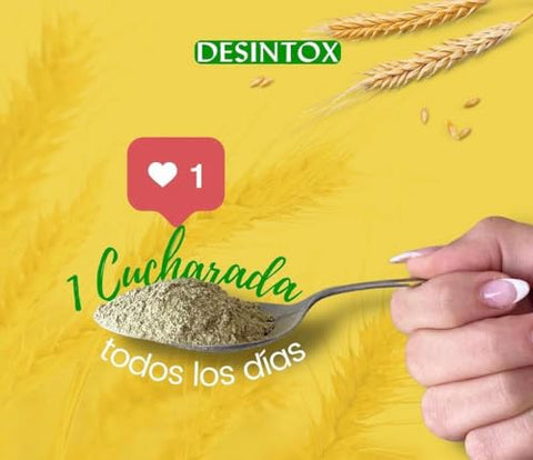 DESINTOX FIBER SYSTEM - Desintox Fiber (Natural) – Fibra Desintoxicante para uma Saúde Equilibrada | 100g