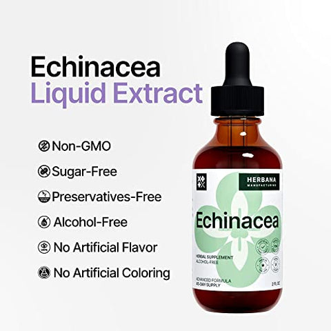HERBANA MANUFACTURING - Echinacea Extrato Líquido 60ml – Raiz, Folha, Flor, Semente Orgânicos – Suplemento Herbal Natural – Suporte ao Corpo e Sistema Imunológico – Tintura de Alta Potência – 45 Dias de Fornecimento