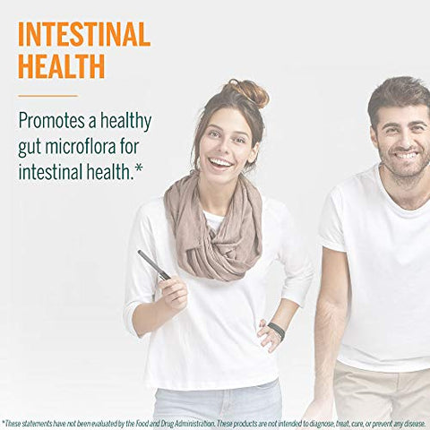 HMF Intensive | Quatro Cepas de Probióticos para Apoiar a Saúde Intestinal, Conforto Abdominal e Microflora Saudável* | 30 Cápsulas - Genestra Brands