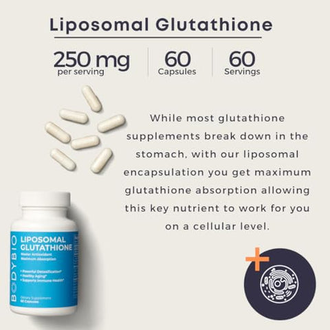 Liposomal Glutationa | Antioxidante Poderoso do Corpo | Desintoxicação Mestre | Limpeza do Cólon | Proteção Celular Ótima para Defesa Imunológica | Liposomal Aprimorado - BodyBio