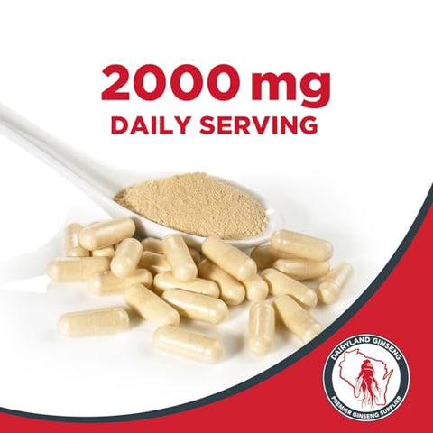 Dairyland Management LLC - Cápsulas de Ginseng Americano Dairyland – 150 un, 500 mg – Complexo de Ginseng de Wisconsin – Extrato Autêntico de Raiz de Ginseng Americano – Cápsulas de Ginseng para Uso Diário Imunológico