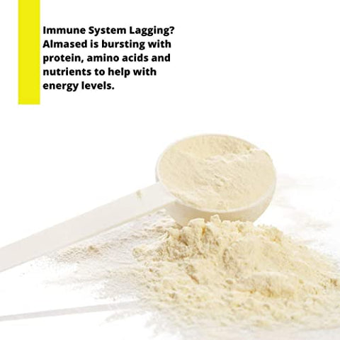 Shake Substituto de Refeição Baunilha – Pó Proteico de Alta Base Vegetal com Baixo Índice Glicêmico – Suplemento Nutricional para Apoio à Saúde e Perda de Peso – Sabor Baunilha – 500g (2 Pacotes) - Almased