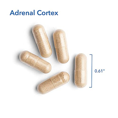 Suporte para Córtex Adrenal, Função Imunológica, Extrato Adrenal 100mg, Bovino – 100 Cápsulas - Allergy Research Group