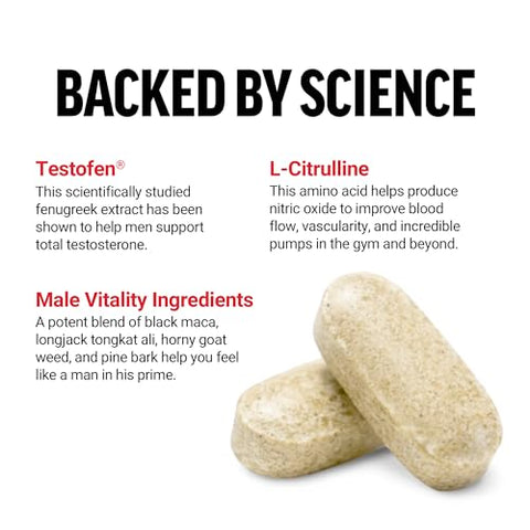 Force Factor - FORCE FACTOR Test X180 Alpha v2 – T-Support para Homens, Suplemento para Aumentar Força, Estimular Óxido Nítrico e Melhorar Desempenho Diário, 120 Comprimidos