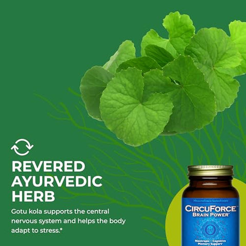 HEALTHFORCE SUPERFOODS - HealthForce SuperFoods CircuForce Brain Power – 90 VeganCaps: Potencialize seu cérebro com este poderoso suplemento vegano