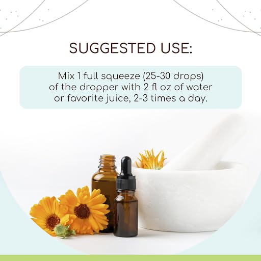 HerbEra - Calendula B120 Tintura Orgânica USDA | Extrato Livre de Álcool, Gotas de Ervas de Alta Potência | Calêndula Orgânica Certificada (Calendula Officinalis) Flor Seca (120 ml)