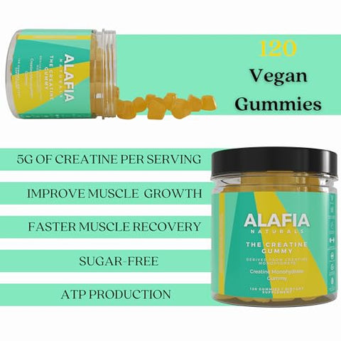 Gomas de Creatina Monohidratada Sem Açúcar 5g para Homens - Alafia Naturals