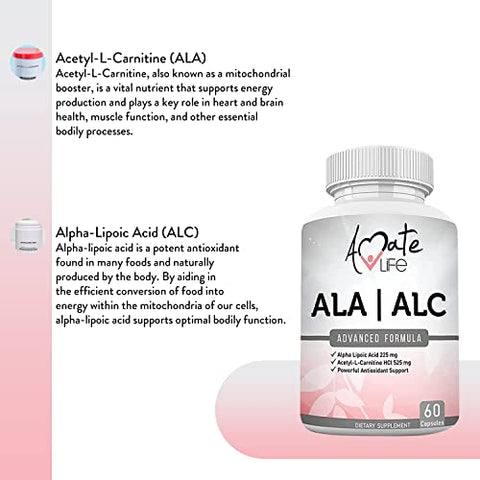 Fórmula de Alta Potência ALA/ALC – Melhor Ácido Alfa Lipoico e Acetil-L-Carnitina HCl – Suplemento Dietético – Suporte Antioxidante – Aumento de Energia – para Homens e Mulheres 60 Cápsulas - Amate Life