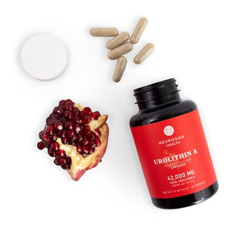 Urolithin A – Cápsulas de Suplemento de Regeneração Celular de Alta Potência para Suporte Energético, Envelhecimento Saudável, Foco e Recuperação Muscular – Fabricado nos EUA, Tome 1 Diariamente - Neurogan