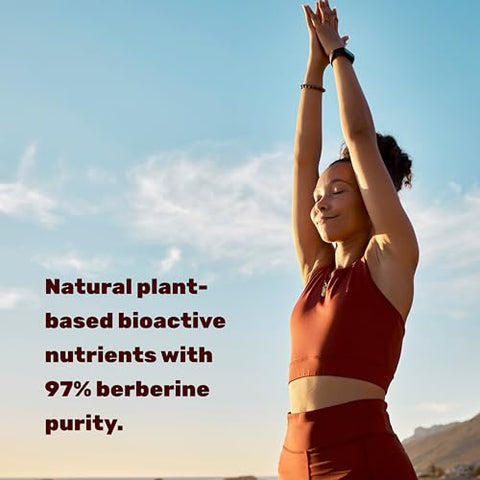 Berberine Max – 5,000mg por Porção – 240 Cápsulas Vegetarianas – 97%% Puro Berberine HCL – Extrato de Raiz 25:1 – Amigo dos Vegetarianos, Não-OGM - DEAL SUPPLEMENT