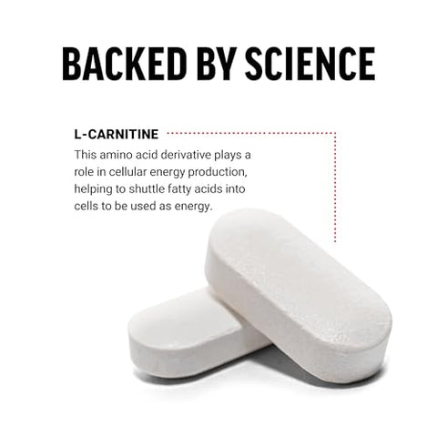 Force Factor - Suplemento FORCE FACTOR L-Carnitina, L-Carnitina Tartarato 1000mg em Comprimidos para Converter Gordura em Energia, Apoiar a Recuperação Muscular e Aumentar o Desempenho nos Exercícios, Vegano, Não-OGM, 90 comprimidos