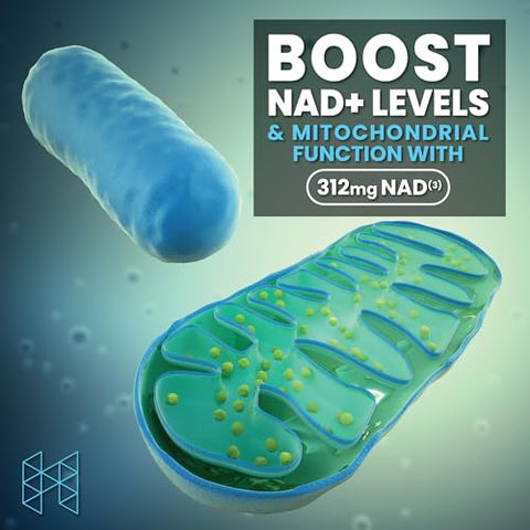 Supplements NAD3 Booster | 2 Meses de Fornecimento | Comprovado Clinicamente | Tamanho | Marca - HPN