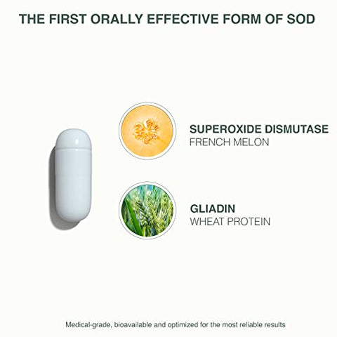 Skin Nutrients – Enzima Antioxidante para Proteção contra Danos dos Radicais Livres – Reduz o Estresse Oxidativo – 60 cápsulas – Fornecimento de 1 Mês - GliSODin