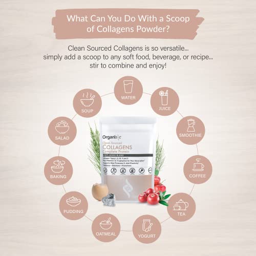 Colágeno Hidrolisado em Pó com Vitamina C, Tipos I, II, III, V, X – Cabelo, Unhas, Pele, Osso | Organixx - Organixx