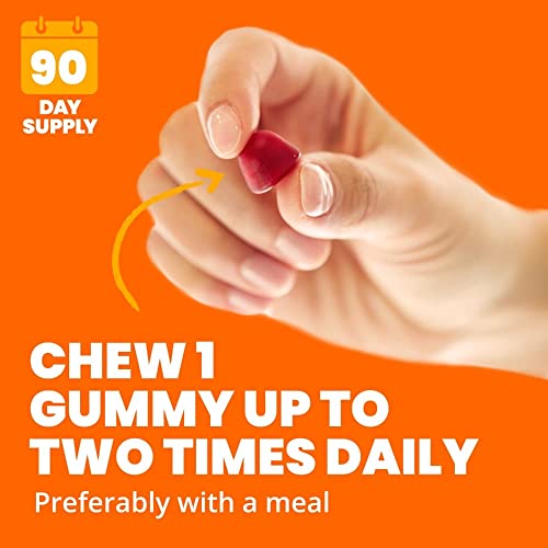 Gummies de Vinagre de Maçã, Suporte ao Metabolismo Energético, Sabor Framboesa Romã, 90 Unidades - Sundown