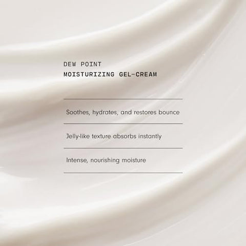 Gel Hidratante Facial Dew Point – Creme Gel Antioxidante com Extrato de Chá Verde e Suco de Aloe Vera – Absorção Rápida, Não Oleoso – Creme Facial Híbrido para Pele Seca - Versed