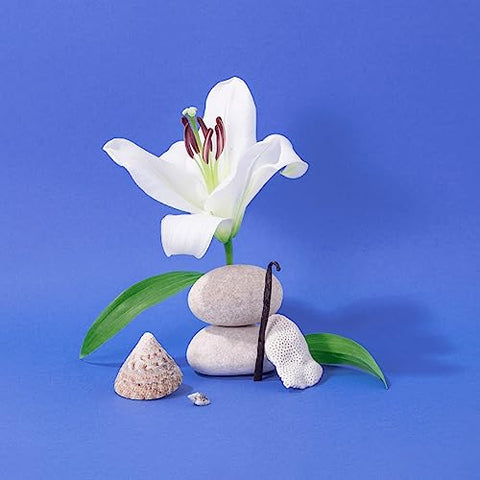 La Compagnie de Provence - Compagnie de Provence Sabonete Líquido Extra Puro de Marseille – Mar Mediterrâneo – Frasco de Vidro com Bomba de 500ml