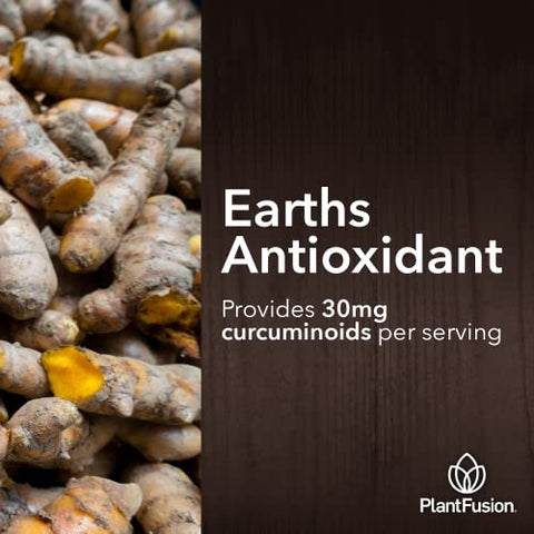 SOTRU - PlantFusion Mix de Bebida de Cúrcuma e Gengibre – Nutrição Completa de Alimentos Fermentados, Pó de Suplemento Herbal com Curcuminoides – Certificado Orgânico pelo USDA, Não-OGM, Vegano, Sem Glúten – 100g