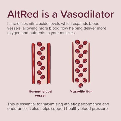 AltRed Sur Cápsulas de Beterraba para Recuperação Muscular e Nutrição Esportiva – 25%% Extrato de Betalaina Pré-Treino – Marca AltRed