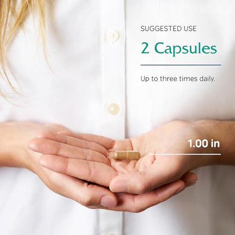 OvaBlend – Saúde Ovariana | Fórmula para Equilíbrio Hormonal e Fertilidade - Vitanica