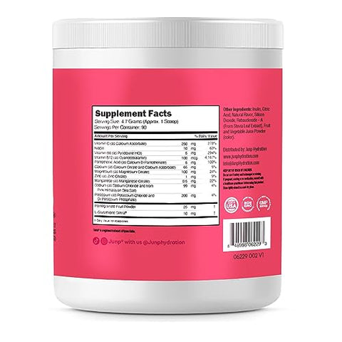 Pó de Eletrólitos Sem Açúcar Sem Carboidratos – Mistura para Bebida com Sabor de Frutas Silvestres – Potássio – 100g - JUNP