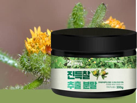 PALPLUS - Extrato em Pó de St. Paul’s Wort (Sigesbeckia glabrescens) Orgânico Natural Puro da Coreia – 200g