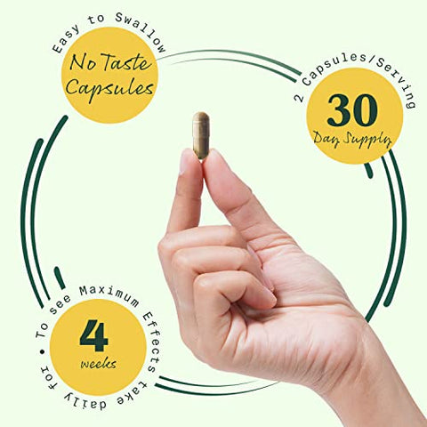 BetterLungs | Suplemento Diário para Saúde Respiratória (60 Cápsulas) | com Vitamina D, Sabugueiro, Ginseng, Verbascum e Cogumelo Reishi | para Saúde Pulmonar e Alergias | - Betterbrand