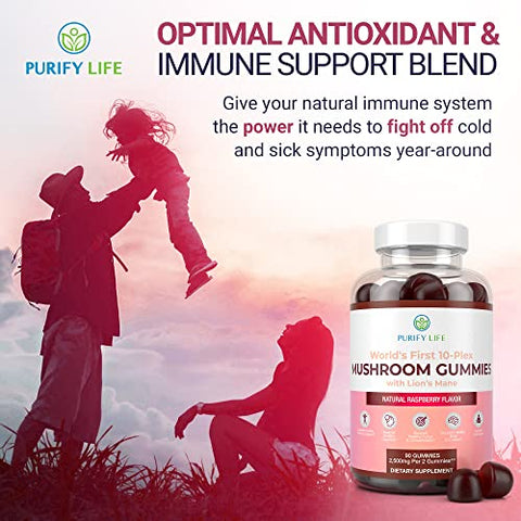 Purify Life - Complexo de Cogumelos em Gomas – 10x Suplemento de Cogumelos com Leão Mane (90 Gomas 2500mg/porção) Suplemento Cerebral Nootrópico, Suporte Imunológico