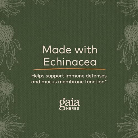 Echinacea Goldenseal – Suporte Imunológico para Manter um Sistema Respiratório Saudável – com Equinácea Orgânica e Raiz de Goldenseal – 60ml Líquido Vegano - Gaia Herbs