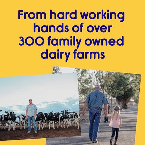 Snacks de Queijo Branco Cheddar com Proteína – 12g, Baixo Açúcar, Sem Glúten - In Good Hands