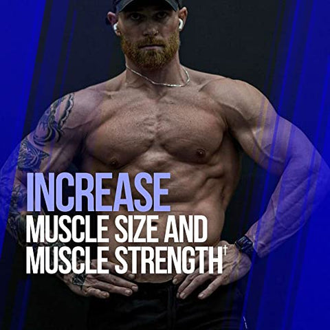Gains Candy – Pílulas Suplementares para Crescimento Muscular e Tamanho - ALPHA LION