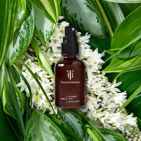 RENEW Nutrient Face Mist Natural | Não-Tóxico, Cruelty-Free | Hidrata, Nutre, Protege a Pele da Poluição | MADE Safe (50 mL) - True Botanicals