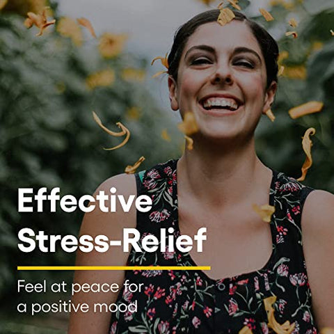 Stress-Relax Chewable Suntheanine L-Theanine 100 mg: Suporte para o Estresse Não Sonolento, Calma Mental e Relaxamento, Sabor de Frutas Tropicais, 60 Comprimidos - Natural Factors