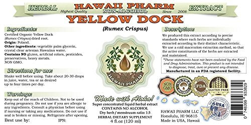 Yellow Dock Extrato Líquido Sem Álcool, Raiz Seca de Yellow Dock Orgânico (Rumex Crispus) Glicerito de Ervas Naturais, Hawaii Pharm, EUA 2×120 ml