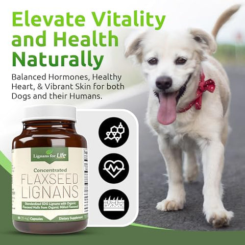 Lignans For Life - Lignanas de Linhaça para Cães SDG – Ômega 3, Alta Fibra e Antioxidantes para Pelagem Brilhante e Digestão Saudável