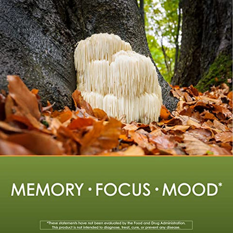 Lion’s Mane: Memória, Foco e Humor* – 1.000 mg, 90 Cápsulas Veganas - Planetary Herbals