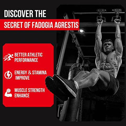 Thalacy - Fadogia Agrestis Tongkat Ali 1600mg – Extrato de Fadogia Agrestis para Homens com Ashwagandha, 120 Softgels – Máxima Potência