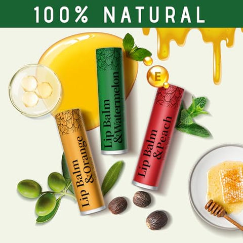 RBUGR - Conjunto de 12 Bálsamos Labiais Naturais, 126 Unidades – Hidratante Orgânico para Lábios Rachados – Presentes em Atacado para Festas e Meias