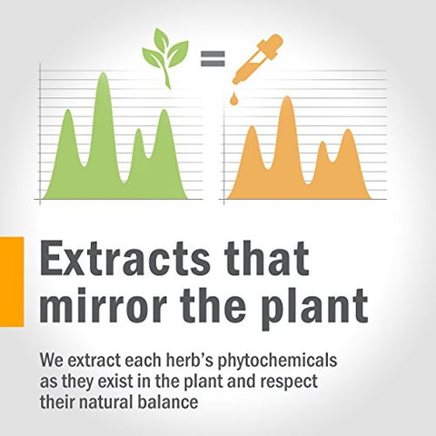 Fórmula Herbal Líquida para Gerenciamento do Estresse com Extratos Líquidos de Rhodiola e Manjericão Sagrado – 4 fl. oz (118 ml) - Herb Pharm