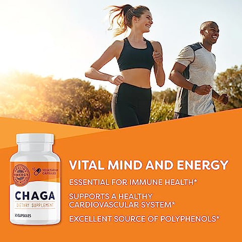 Chaga Cápsulas – Suporte Celular Superfood – Benefícios para a Saúde Cardiovascular – Kosher, Vegano, Sem Glúten – 90 Cápsulas - Vimergy