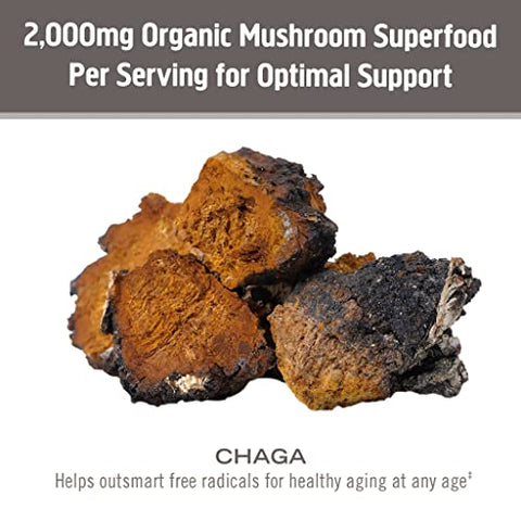 Mushroom Superfood Chaga Pó de Cogumelo Orgânico, 200g, 100 Porções, Cultivado nos EUA, Antioxidantes Sagrados - OM